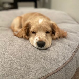 Meet your Posher, Brandi